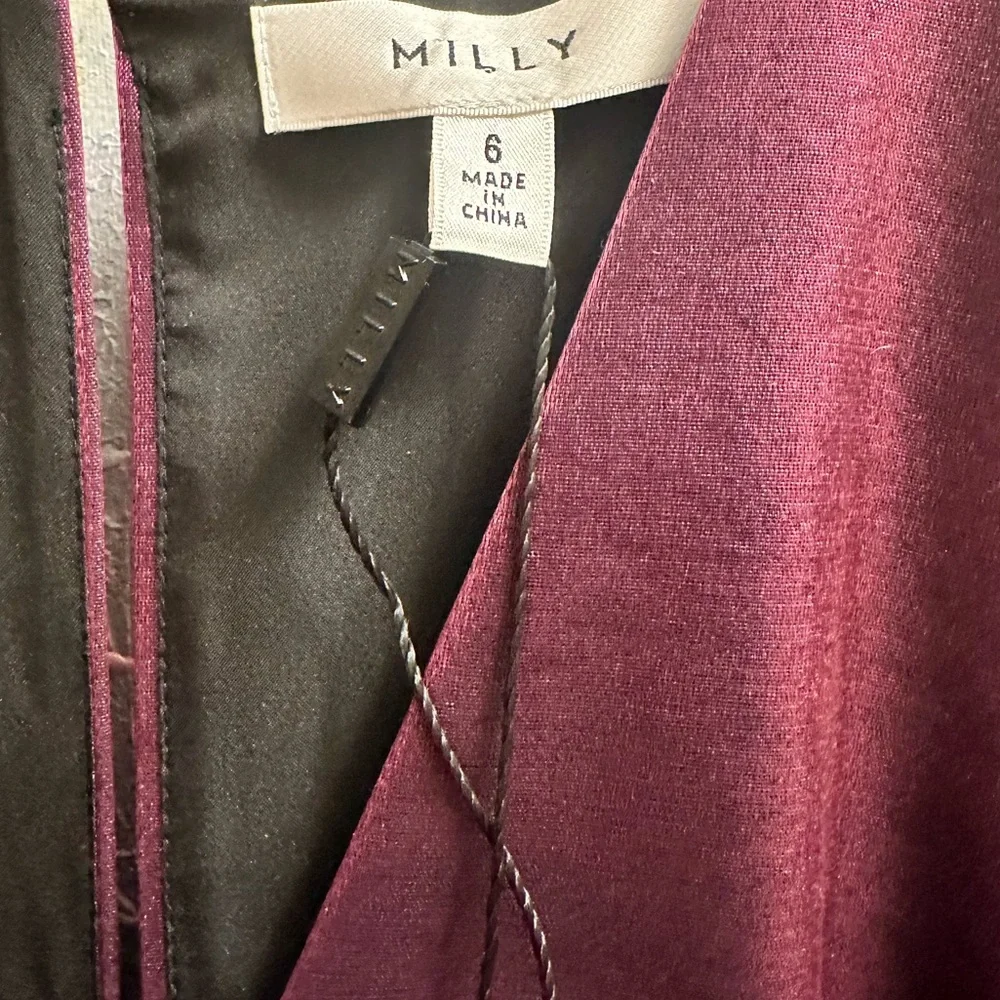 NWT Super Cute Milly Mini Atalie Glazed Dress